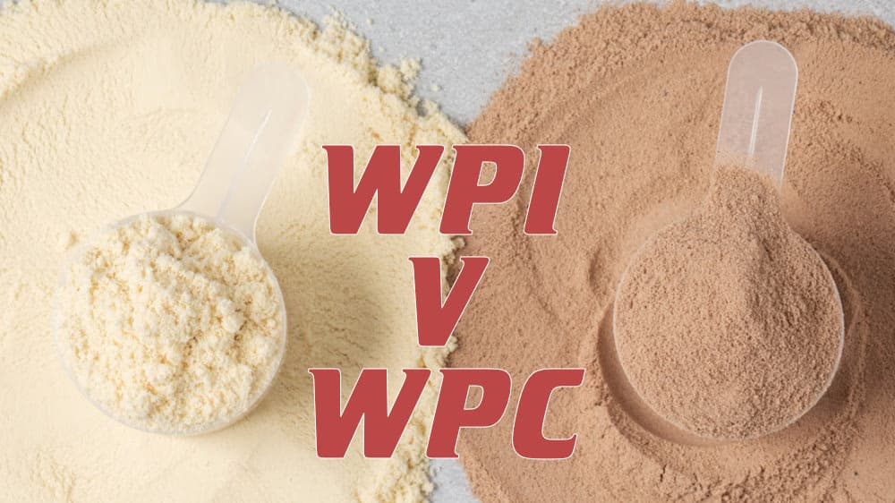 Protein powder